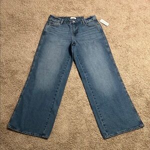 Pacsun Casey Low Rise Baggy Jeans Indigo Wash